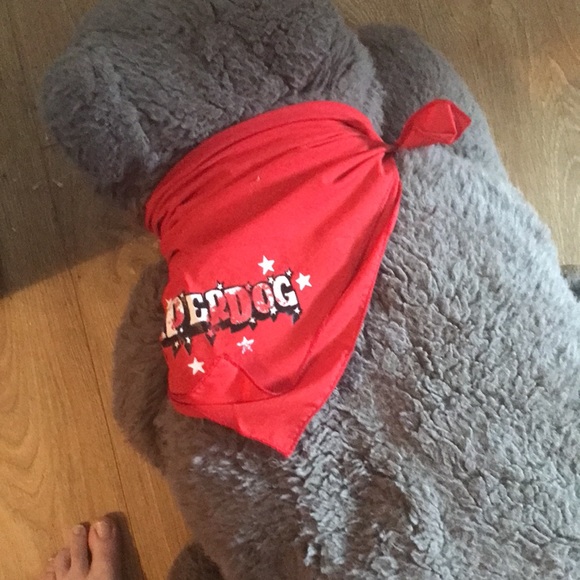 Red superdog pet bandanna - free with purchase - Picture 2 of 2
